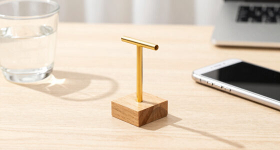 Capital: The Lever Beneath the Levers