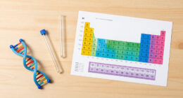 10 Best Interactive Science Kits for Students in 2026