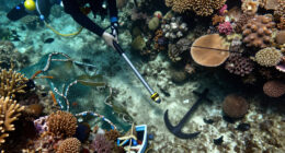 Bomb Fishing Is Wreaking Havoc On Indonesia's Coral Reefs