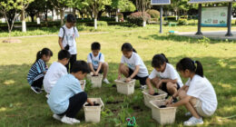 Lagos Trains Children On Environmental Sustainability - Guardian.ng