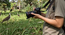Roy Dennis Wildlife Foundation Surges In Global Coverage