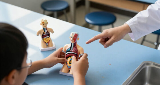 15 Best Anatomy Models for Students in 2027